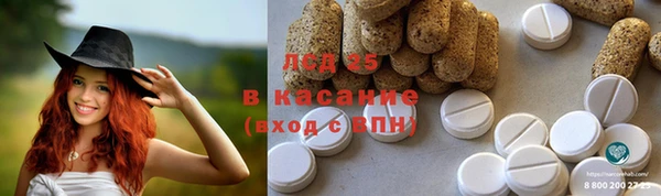 спайс Бородино