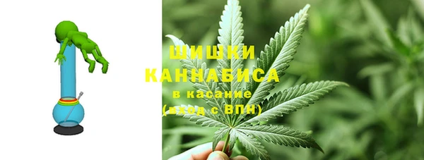 амф Богородицк