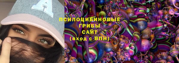 ПСИЛОЦИБИНОВЫЕ ГРИБЫ Богородск